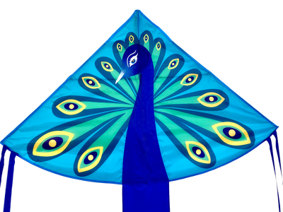 High as a Kite - Peacock Kite