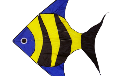 Reef Fish Kite
