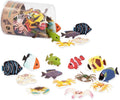 Terra - Tub - Tropical Fish World