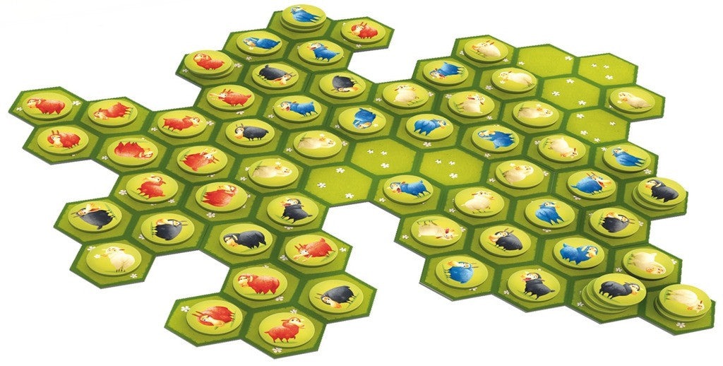 Leisure Learning - Battle Sheep