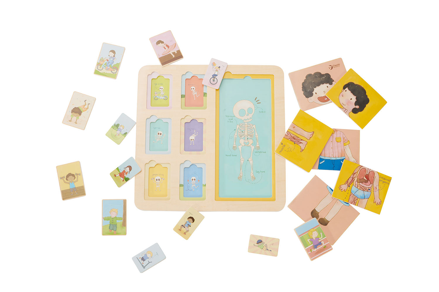Classic World - Body Puzzle